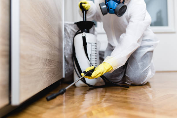 Best Pest Removal Services  in Cana, VA