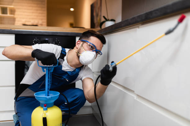 Best Exterminator Services  in Cana, VA
