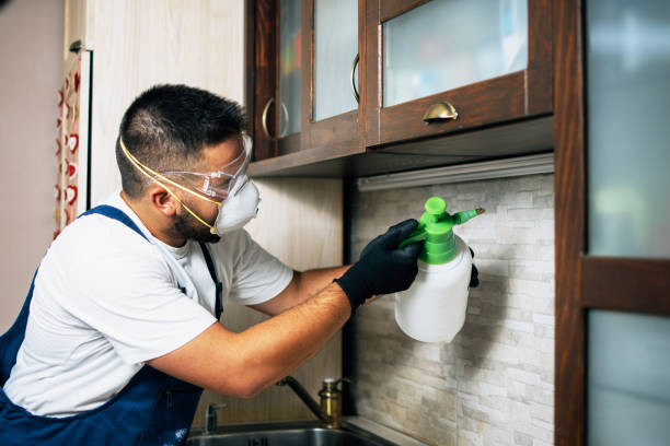 Best Ant Control Services  in Cana, VA