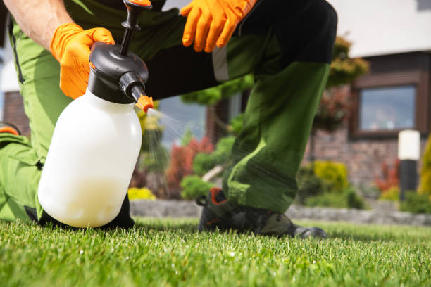Best Affordable Pest Control Services  in Cana, VA