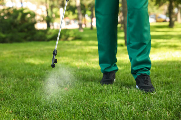 Best Best Pest Control Companies  in Cana, VA