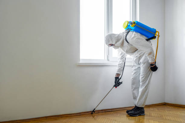 Best Flea Control Services  in Cana, VA