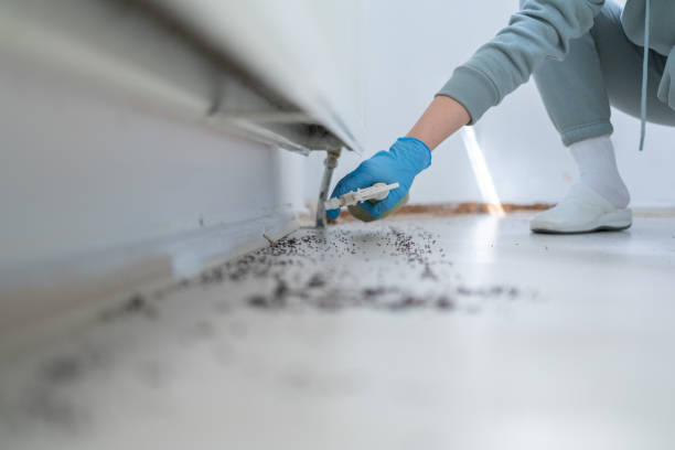 Cana, VA Pest Control Company